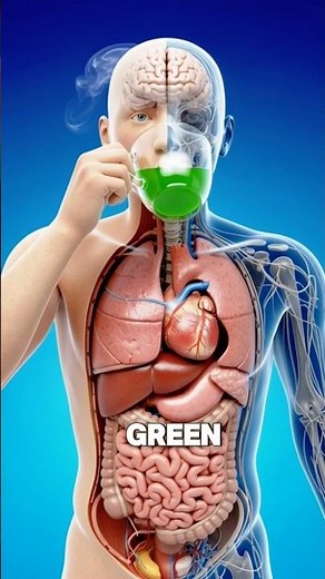 “Why Doctors Warn About Drinking Too Much Green Tea! | 3D Antioxidant Breakdown