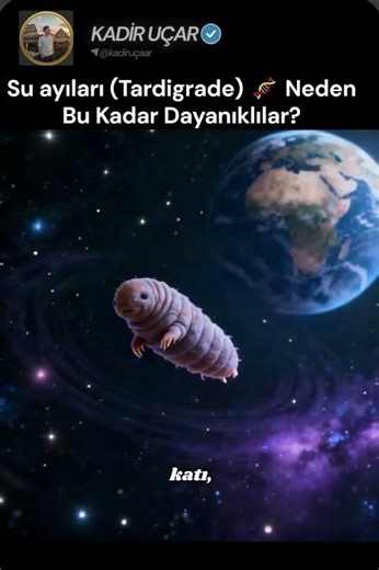 uzay yolculari (Tardigrade) #shorts