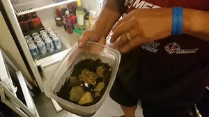 My Best SECRET for Keeping Leeches Alive Longer... right here on Ted's Tips! | Ted Takasaki