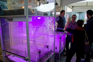 These glowing indoor garden boxes are the future of urban agriculture