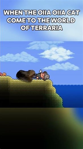 When OIIA OIIA Cat Come to the world of Terraria #terraria