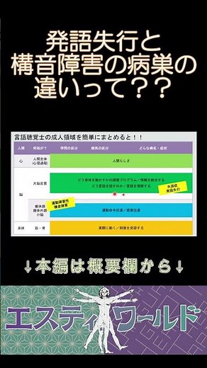 【構音障害簡単解説！】発語失行と構音障害の病巣の違い