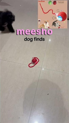 “Ordered this pet toy from meesho 💕👍🏻 #youtubeshorts #meesho #shorts #trending
