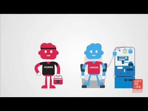 Donors: What is a Bone Marrow/Stem Cell Donation Like?
