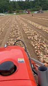 670K views · 6.8K reactions | Harvest time | Pinay farmer in Hokkaido Japan | Facebook