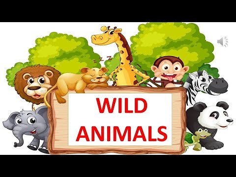 WILD ANIMAL || SCIENCE VIDEO FOR KIDS || EDUCATIONAL VIDEO FOR CHILDREN