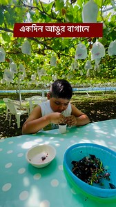 2.3K views · 30 reactions | Enjoying Fresh Grapes at the Farm on a Sunny Day! ☀️ #champfromjapan #grapes #grapefarm #sunnyday #eat | Champ from Japan | Facebook