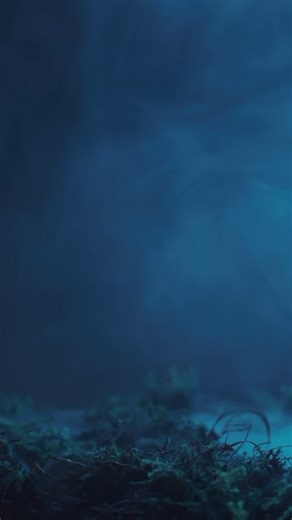 Free Cinematic Videos: 4K & HD | No Watermark | Download Now