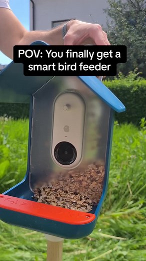 Adorable Bird Buddy Video: A Promise to Make You Love Birds! 🐦