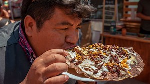 Let’s learn about eating bugs