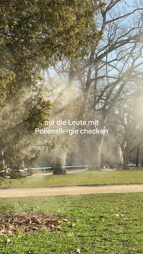 Pollenallergie und der Frühling: Tipps für Allergiker