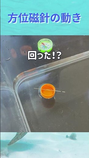 磁石でこすって大変身！