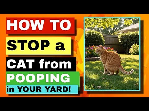 HOW to STOP CATS from POOPING in your YARD!