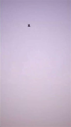 #🇸🇪Kiruna (second feature) has deployed its “Arctic Solar‑Storage Ice Rink”—a 1 MW solar array and