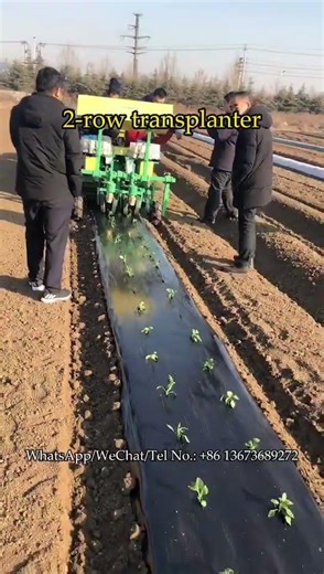 2-row seedling planting machine with traction #seedling #planting #transplanter #transplants