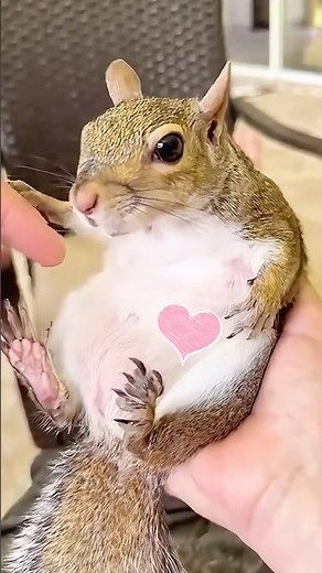 This family rescued a squirrel in distress