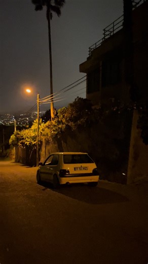 Luisi Pereira's Performance at Saxo Cup