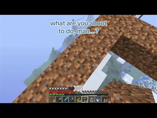 zzzzzzip... #ethoslab #vintagebeef #pauseunpause #mindcracksmp #minecraftletsplay