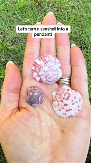 Ever wanted to make jewelry with pieces of naturw? I am making a pendant with a seashell I found in Florida. Do you collect shells too? #DIYJewelry #ShellPendant #jewelrytutorial #HandmadeJewelry #JewelryMaking #SatisfyingReveal #ArtisanCrafts #ShellLovers #CreativeProcess #UniqueJewelry #carnelian