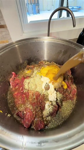 Animales en casa: un dilema cotidiano