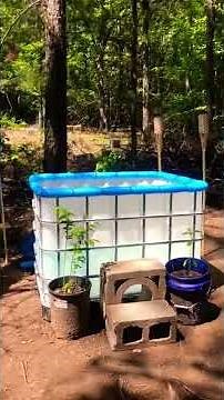 SUPER SECRET PROJECT | DIY POOL | IBC TOTE POOL