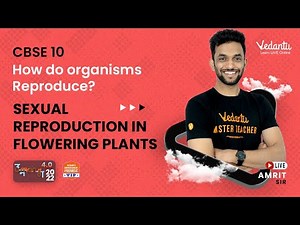 How Do Organisms Reproduce? | Sexual Reproduction in Flowering Plants| Umang CBSE 10 -22 |Amrit Sir