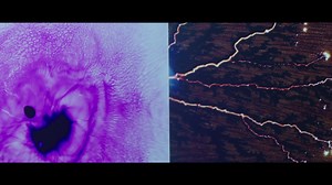 1K views · 120 reactions | Discover the Powerhouse after-hours, every Thursday. Featuring exhibition tours, live music, DJ sets, film screenings and the Powerhouse Campari Bar. FREE maas.museum/late #cultureuplate is proudly funded by the NSW govt. | Powerhouse Museum | Facebook