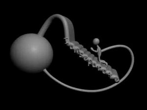 Consciousness - an animation of Spirit --www.advaita.org