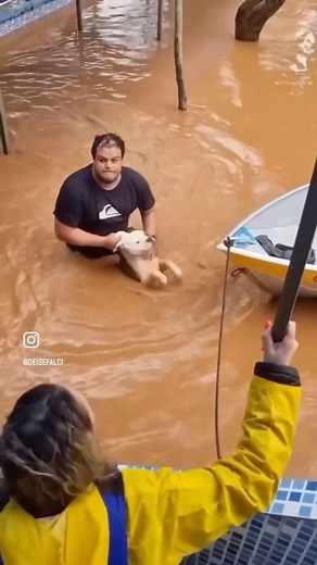 11K views · 14 reactions | The State of Rio Grande do Sul In Brazil...