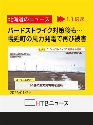 風力発電と絶滅危惧種の衝突問題
