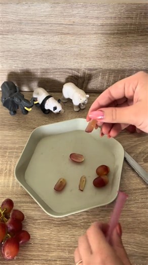 Jour 3 – La découpe du raisin 🍇 Aujourd’hui, je vous montre en vidéo comment couper les raisins de manière sécuritaire pour les enfants. Pour vous donner un repère visuel simple, j’utilise une pipette de Doliprane : son embout fait exactement 9 mm de diamètre, ce qui correspond à la taille moyenne de la trachée d’un enfant de 4 à 5 ans. Donc chez les plus jeunes, c’est encore plus petit. Et ce qu’on voit bien, c’est qu’un raisin entier ne passe pas. Un demi-raisin non plus. Si un enfant l’avale