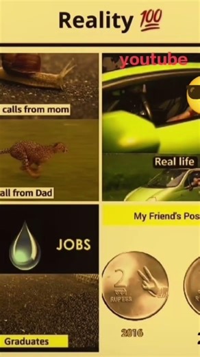 real❌ reality☑️