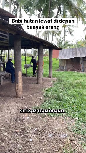 #sitiramteamchanel #porbimarentensumbar #porbiindonesia #ontario #vancouver #rainydays | Viko Hafizurahman