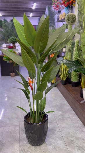Oiseau de paradis 🌱 #fyp #lebanon #artificialplants #foryoupage #شعب_الصيني_ماله_حل😂😂
