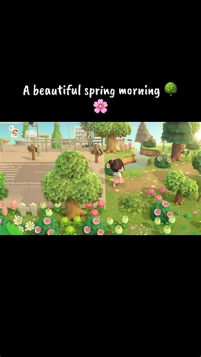Animal Crossing Island Oasis Unveiled