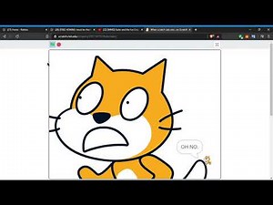 Scratch cats see a...