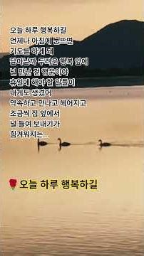 아름다운 구속.#노래 #김종서 #리메이크 #서영은 #저녁 #풍경 #철새 #Shorts