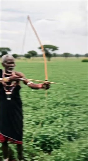 Africa man shooting arrow to hyena attack his brave defense #wildlife #safari #arrow