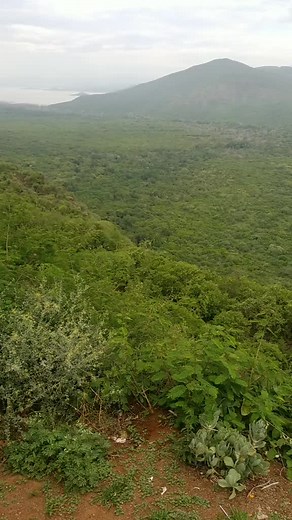 Panoramic View of Lush Green Landscape