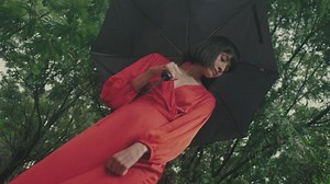 Free Forest Videos: 4K & HD | No Watermark | Download Now