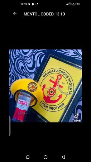 MENTOR CODED 13/13 (@mentolcoded101)’s videos with original sound - big_atom01