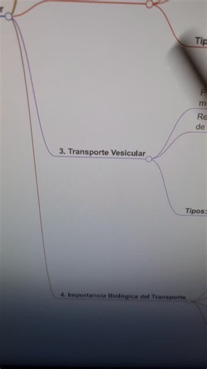 Profe Vladi on Instagram: "Transporte vesícula #preuniversitario #universidad #secundaria #preparatoria #cbc #medicina #ubaxxi #ingresomedicina #uba #facultad #UNSA #uncuyo #Unla #unc #unlp #unr #uade #pae #ebau"