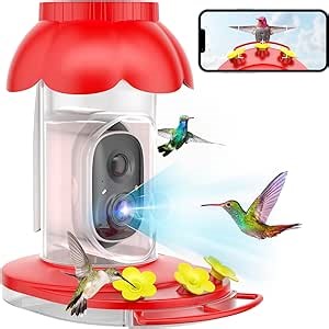 Hummingbird Feeder with Camera, Smart AI Bird Feeder with Camera, Bird Feeder Camera Auto Capture Birds Video and Notify, Hummingbird Feeder for Outdoor