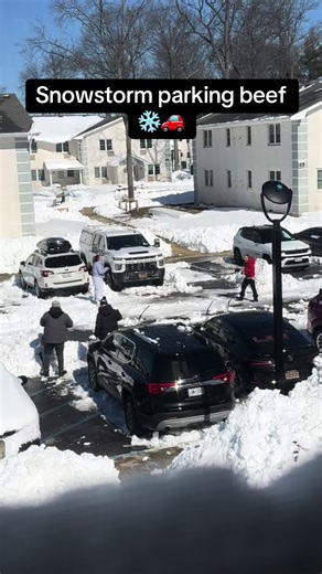 Snowstorm Parking Dispute: Who's at Fault?