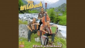 Es blüht ein Edelweiss (feat. Roger Diethelm, Bernhard Glarner) Chords - ChordU