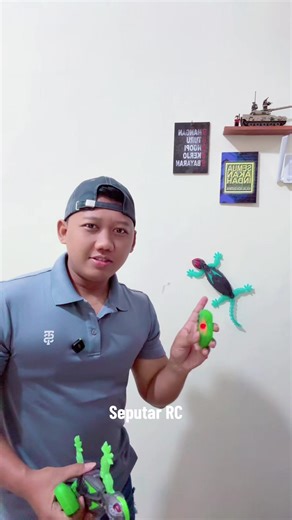 Tokek Racing Remote Control Toy