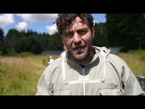 82 Minutes Of Live Bee Inspections - Real Time Hive Inspection Walkthrough