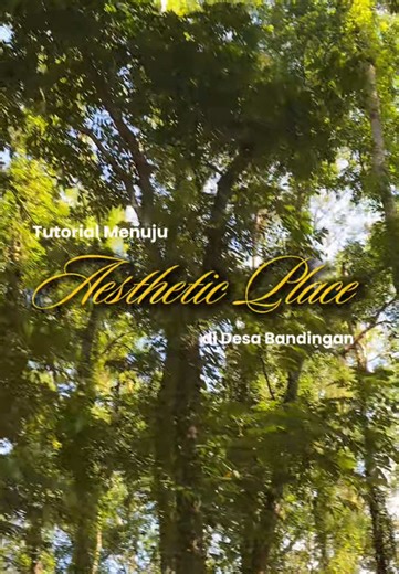 Membalas @strawberry Tutorial Menuju Aesthetic Place di Desa Bandingan, Bawang, Banjarnegara! Kalau terlalu cepat, bisa di perlambat atau di pause yah!! Siapa yang sudah kesini semenjak post video mimin kemarinn??😄😚 Mimin saranin kesini pagi atau sore pas sunsett🌅☀️ ••• Bakal cakep & ademm🍃 ••• Share ke temen, rekan atau keluarga kamu🫵🏻 Save biar kamu ngga lupa! #banjarnegara #banjarnegaraterkini #bandinganbawang #aestheticplaces #banjarnegara24jam