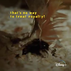 41K views · 1.3K reactions | Chickens, kindly permit Her Majesty to fly this coop in peace. Inspired by Pixar's A Bug's Life and narrated by Awkwafina, #ARealBugsLife, an Original series, is streaming Wednesday on Disney+. | National Geographic TV | Facebook