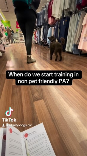 Infinity Dogs CIC on Instagram: "Do YOU know what makes a excellent active handler?"